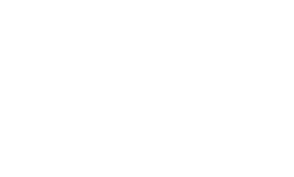 INA_logo_white 1